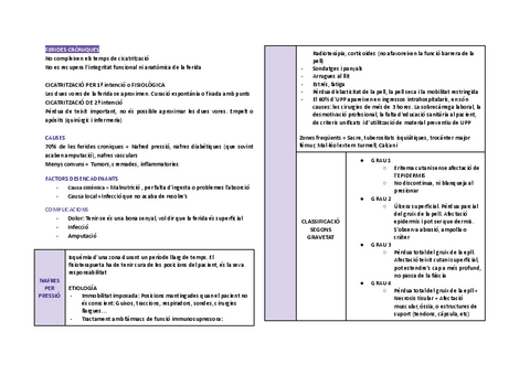 TEMA-6.-PATOLOGIA-VASCULAR.pdf