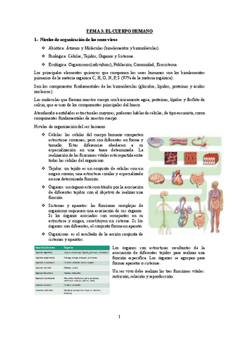 Tema-3.-El-cuerpo-humano.pdf