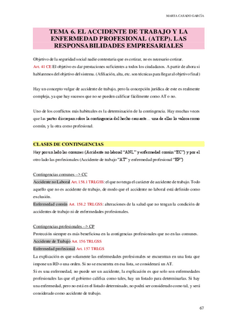TEMA-6.pdf
