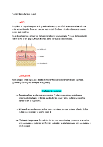 TEMA-2-Y-4-ANALISIS.pdf