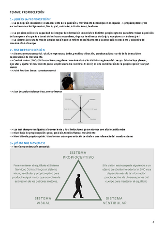 TEMA-8-LESIONES.pdf