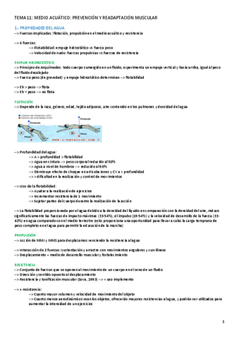 TEMA-11-LESIONES.pdf