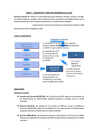 Tema-1-Conceptos-y-aspectos-generales-de-la-EIA.pdf