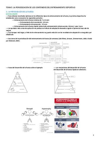 TEMA-5-PLANIFICACION.pdf
