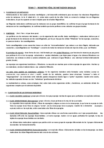 TEMA-7.pdf