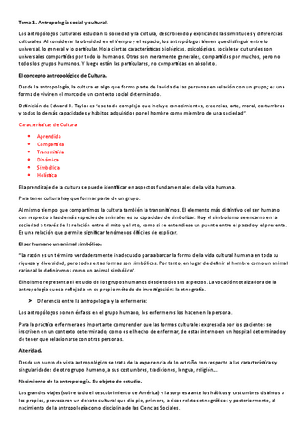 Transculturalidad-apuntes-1-6.pdf