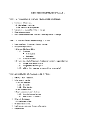 INDICE-DERECHO-INDIVIDUAL-DEL-TRABAJO-I.pdf