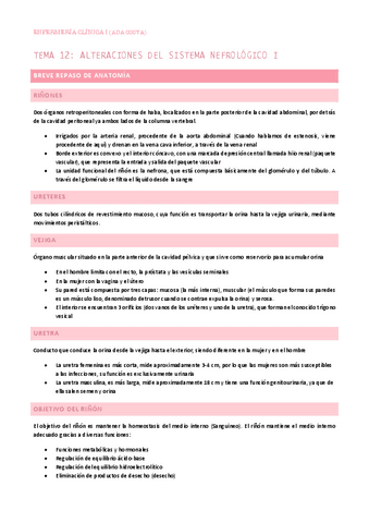 Tema-12.-Alteraciones-del-sistema-nefrologico-I.pdf