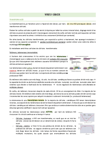 1.4-TRANSFORMACIO-I-ONCOGENESIS.pdf