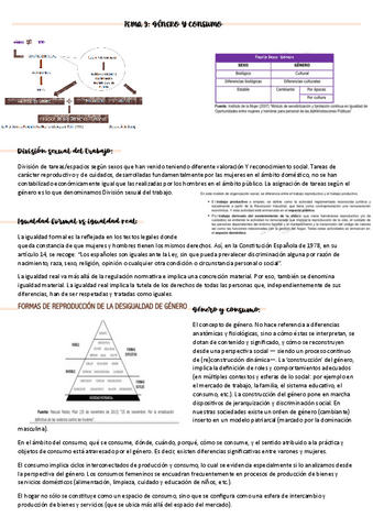 sociologia-del-consumo-tema-9.pdf