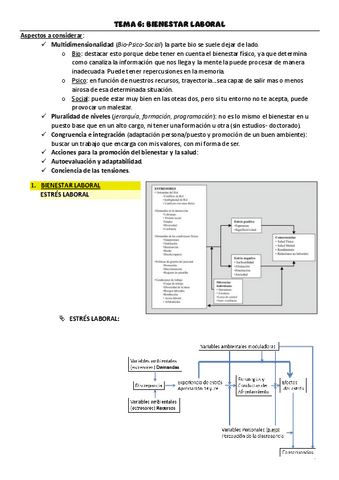 TEMA-6.pdf