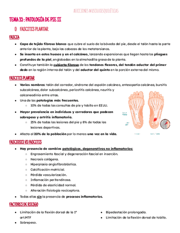 Tema 35:patologia pie II.pdf