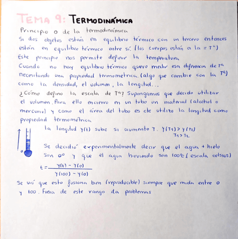 Tm9-Termodinamica-PROF-Flavio-Bruno.pdf