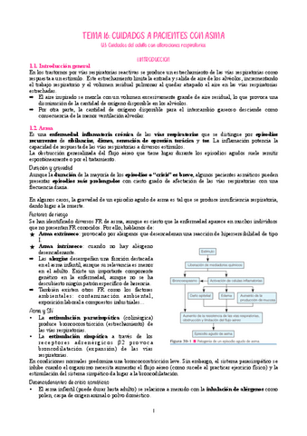 Tema-16-Adulto-I.pdf