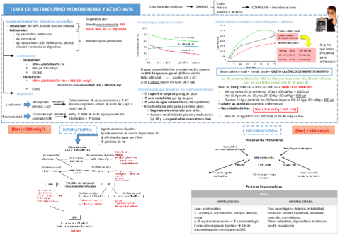 Tema 13. Metabolismo hidromineral. Ác-base..pdf