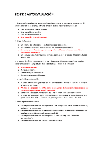 TEST-DE-AUTOEVALUACION-186-preguntas-test.pdf