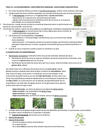 TEMA-3-GIMNOSPERMAS.pdf