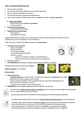 TEMA-6-EUDOCOTILEDONIAS.pdf