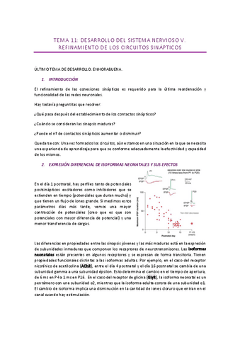 Tema-11-Refinamiento-de-circuitos-sinapticos.pdf
