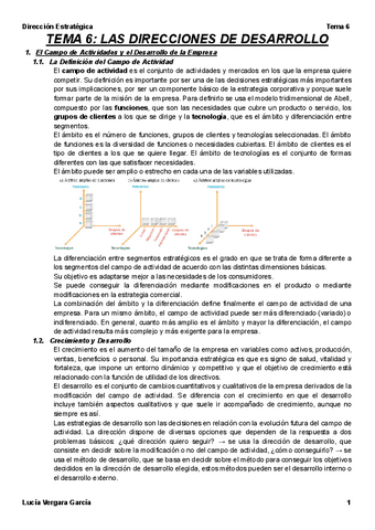 Tema-6-Dir.-Estrat..pdf