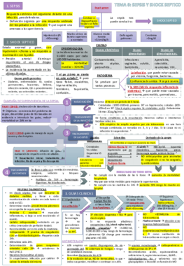 TEMA 6 EMERGENCIAS.pdf