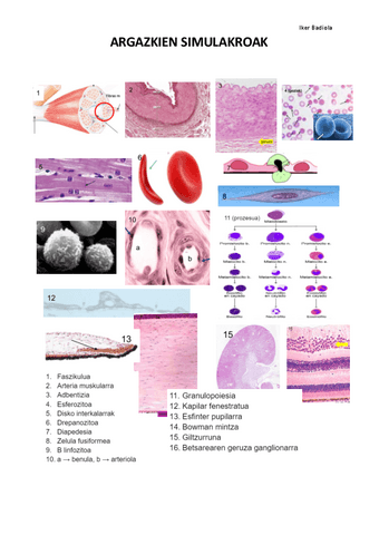 MIKROSKOPIO-ARGAZKIEN-SIMULAKROAK-zuzenduta.pdf
