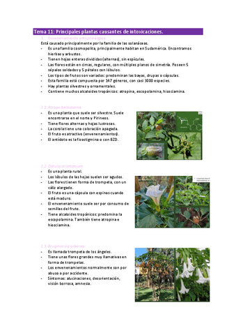 Tema-11-Salud-y-botanica.pdf