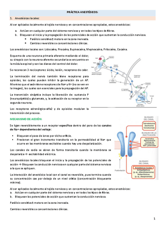 PRACTICA-ANESTESICOS-locales-y-generales--ejercicios.pdf