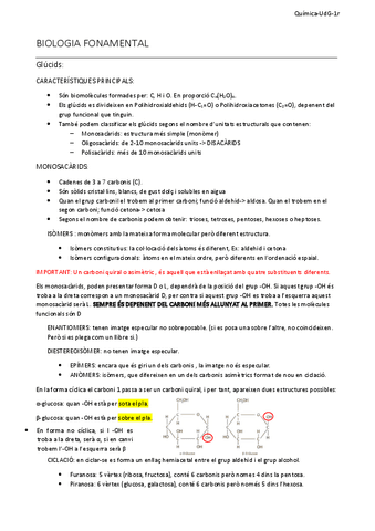 Resum-Tema-1.pdf