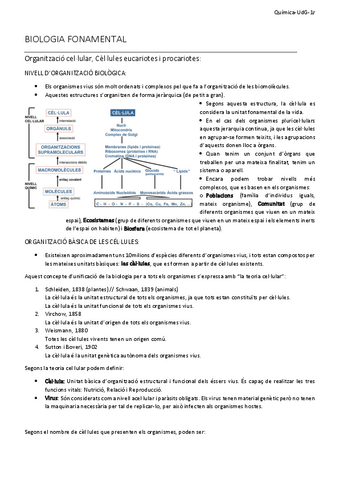 Resum-Tema-3.pdf