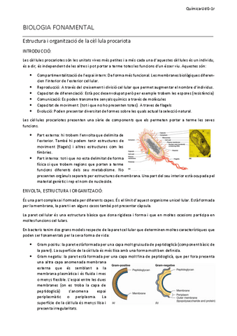 1Resum-estructura-i-organitzacio-de-la-cellula-procariota.pdf