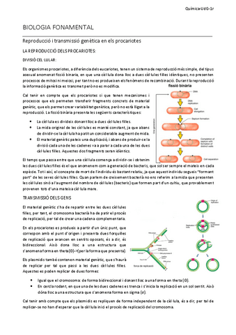6Resum-reproduccio-i-transmissio-genetica.pdf