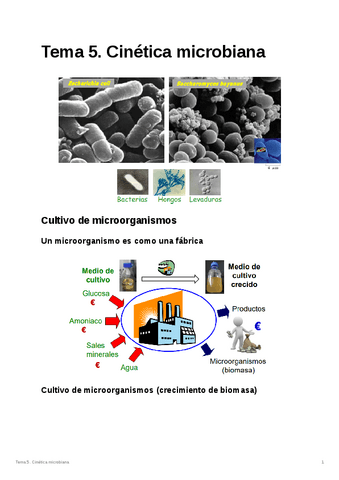 Tema-5.-Cinetica-microbiana.pdf