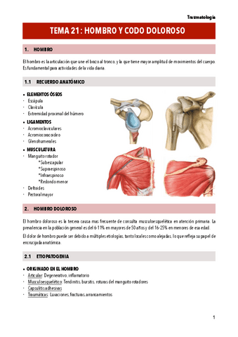 T21-HOMBRO-Y-CODO-DOLOROSO.pdf