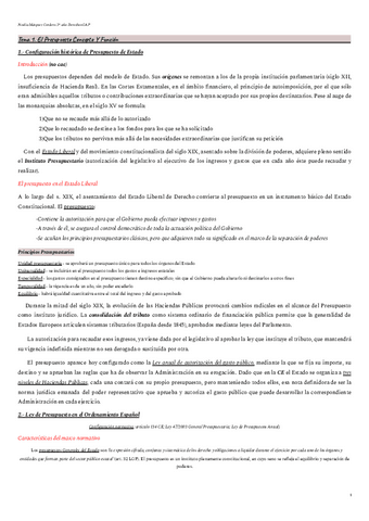 Temas-Presupuestario-COMPLETO.pdf