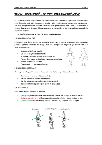 TEMA-1 ANATOMIA.pdf