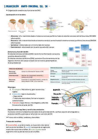 TEMA-2.pdf