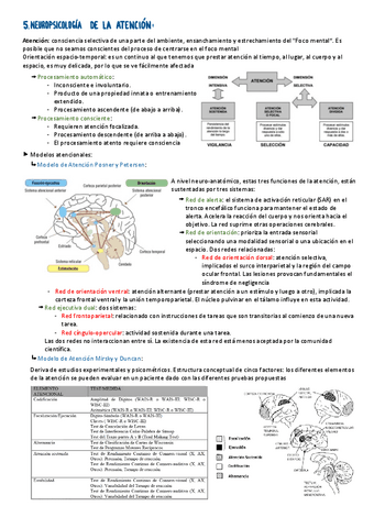 TEMA-5.pdf