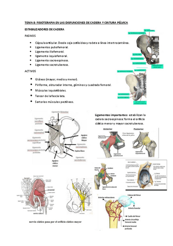 temario-disfunciones-del-sist.-musculoesqueletico.pdf