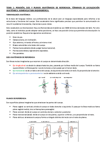 TEMA-1-2-3-RS.pdf