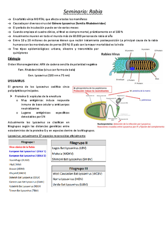 Seminario-Rabia.pdf