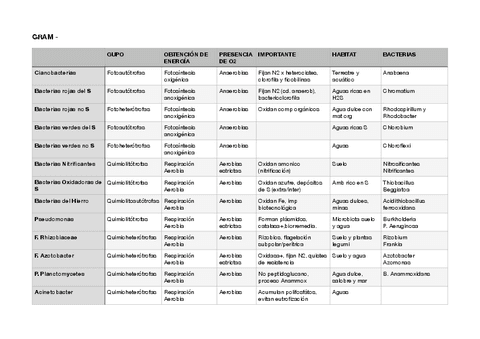 Tabla-bacterias-micro.pdf