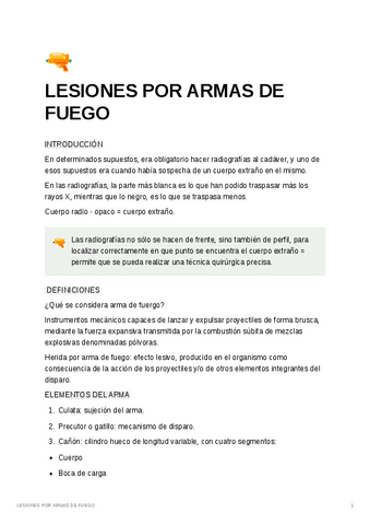 ARMAS-DE-FUEGO.pdf