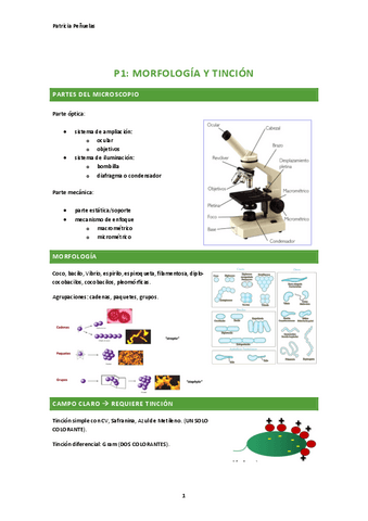 Practicas-biocel.pdf