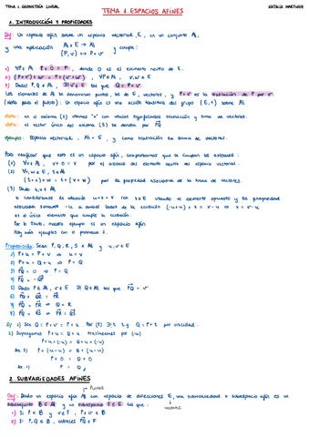 TEMA-1.-ESPACIOS-AFINES.pdf