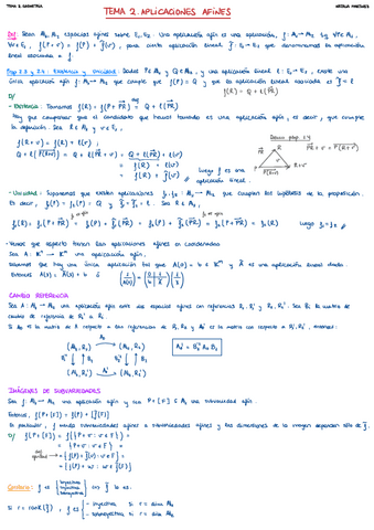 TEMA-2.-APLICACIONES-AFINES.pdf