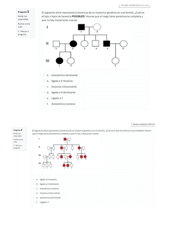 Autoevaluacion-Arboles-recopilatoriO.pdf