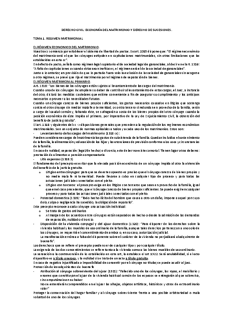 DERECHO-CIVIL.pdf