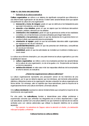 Tema-11-Direccion-de-Recursos-Humanos-I.pdf
