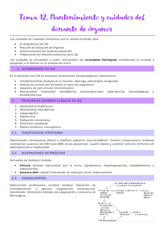 Tema-12.-Mantenimiento-y-cuidados-del-donante-de-organos.pdf